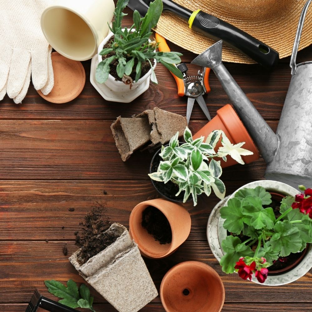 jardineria